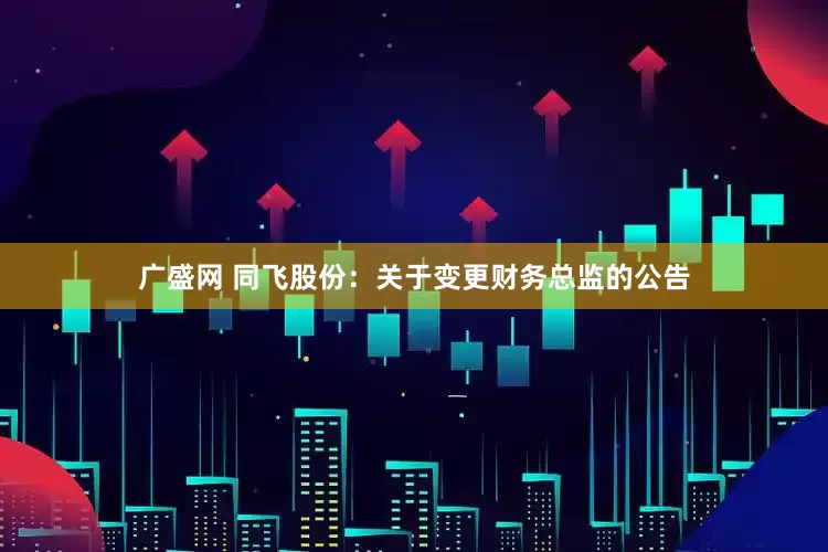 广盛网 同飞股份：关于变更财务总监的公告