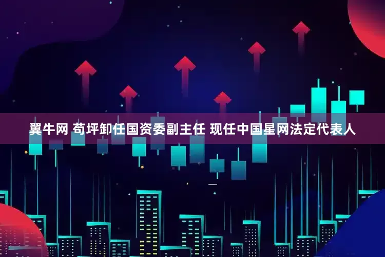 翼牛网 苟坪卸任国资委副主任 现任中国星网法定代表人