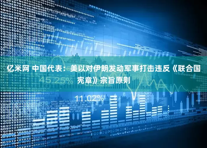 亿米网 中国代表：美以对伊朗发动军事打击违反《联合国宪章》宗旨原则