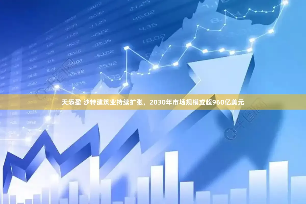 天添盈 沙特建筑业持续扩张，2030年市场规模或超960亿美元