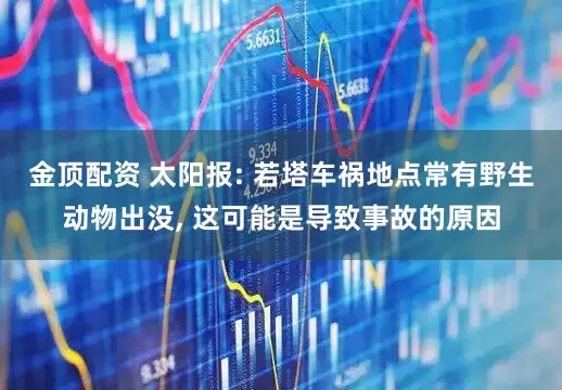 金顶配资 太阳报: 若塔车祸地点常有野生动物出没, 这可能是导致事故的原因