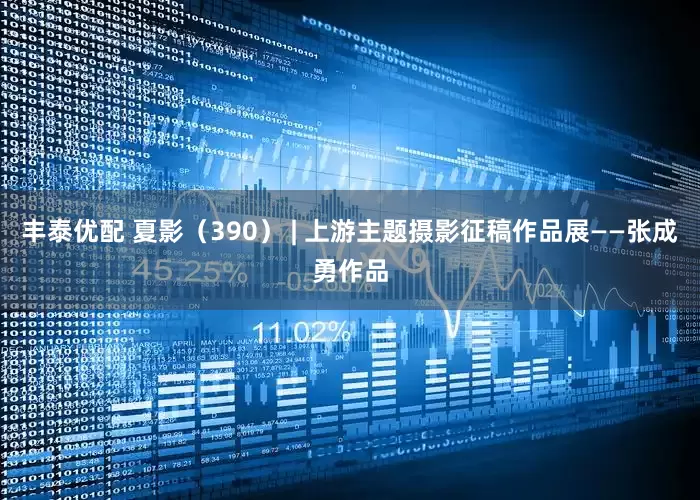丰泰优配 夏影（390） | 上游主题摄影征稿作品展——张成勇作品