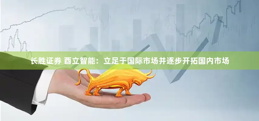 长胜证券 酉立智能：立足于国际市场并逐步开拓国内市场