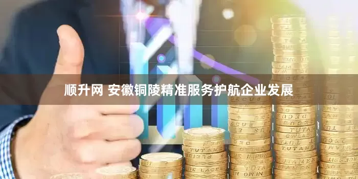 顺升网 安徽铜陵精准服务护航企业发展
