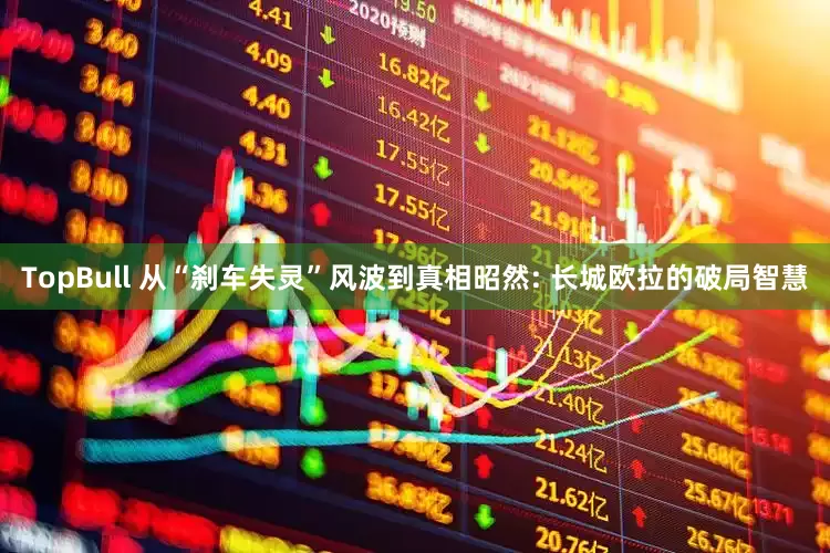 TopBull 从“刹车失灵”风波到真相昭然: 长城欧拉的破局智慧
