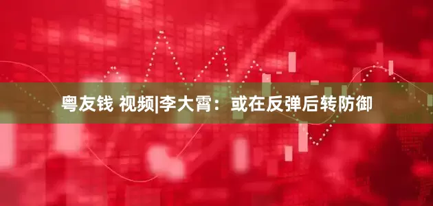 粤友钱 视频|李大霄：或在反弹后转防御
